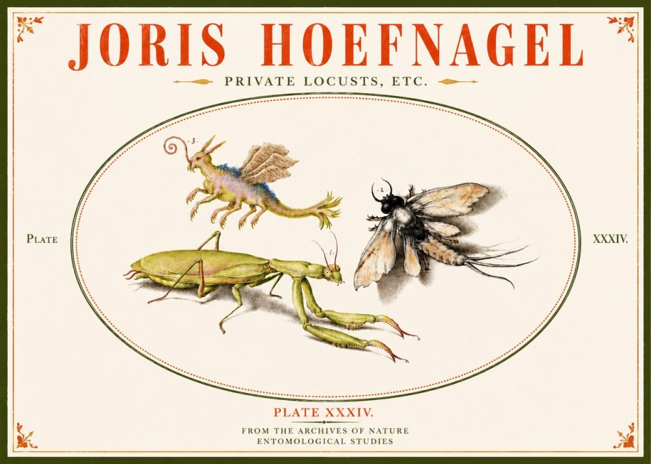 Joris Hoefnagel Privs Locvsta Bovem. No6 - Affiche