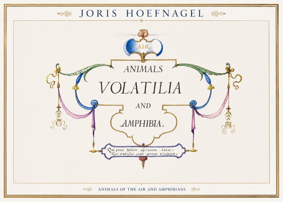Joris Hoefnagel Animals Volatilia and Amphibia. No1 - Affiche