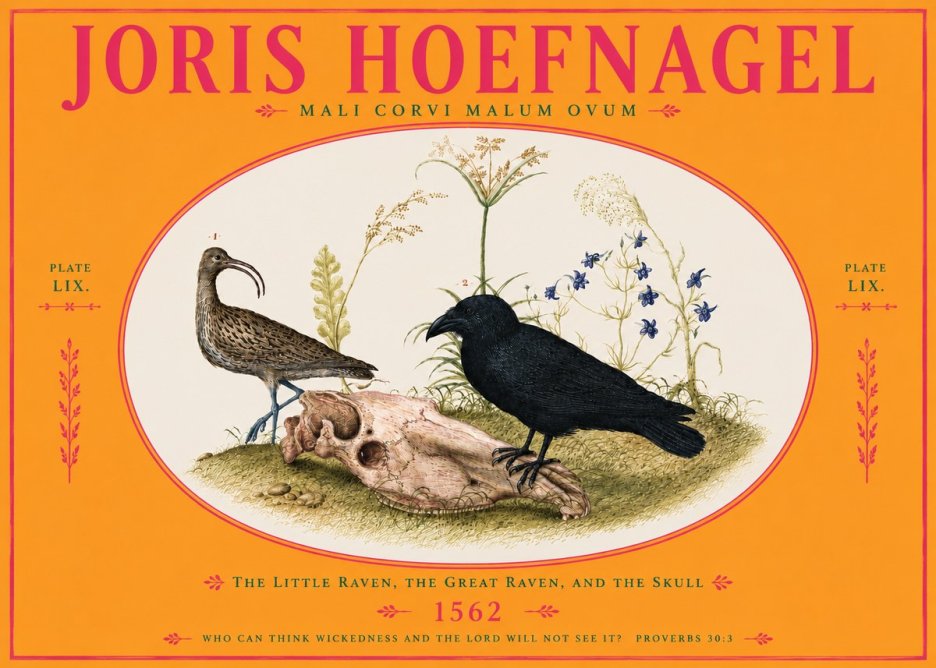 Joris Hoefnagel The Little Raven, the Great Raven, and the Skull No4 - Affiche