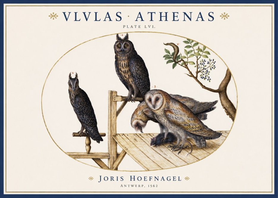 Joris Hoefnagel Vlvlas Athenas No1 - Affiche