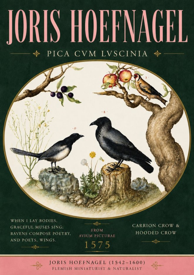 Joris Hoefnagel Carrion Crow & Hooded Crow No5 - Affiche