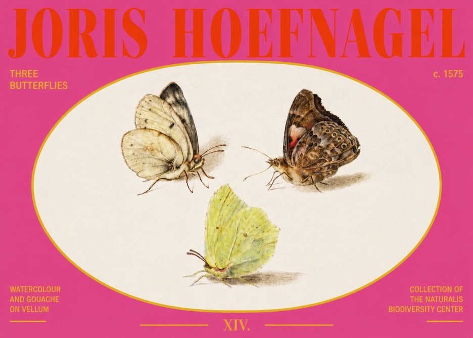 Joris Hoefnagel Three Butterflies II No3 - Affiche