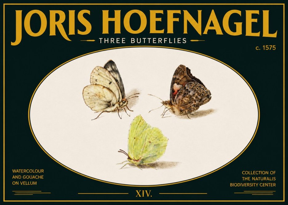 Joris Hoefnagel Three Butterflies II No5 - Affiche