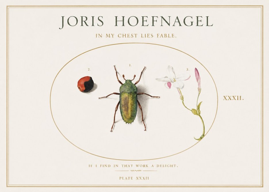 Joris Hoefnagel In My Chest Lies Fable No1 - Affiche
