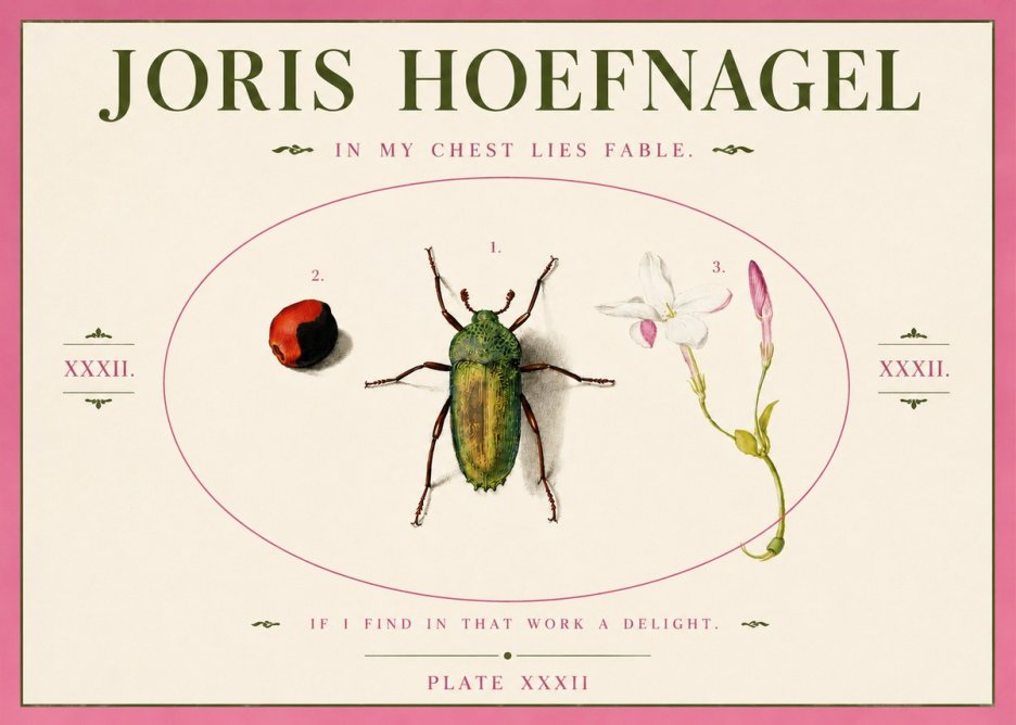 Joris Hoefnagel In My Chest Lies Fable No3 - Affiche