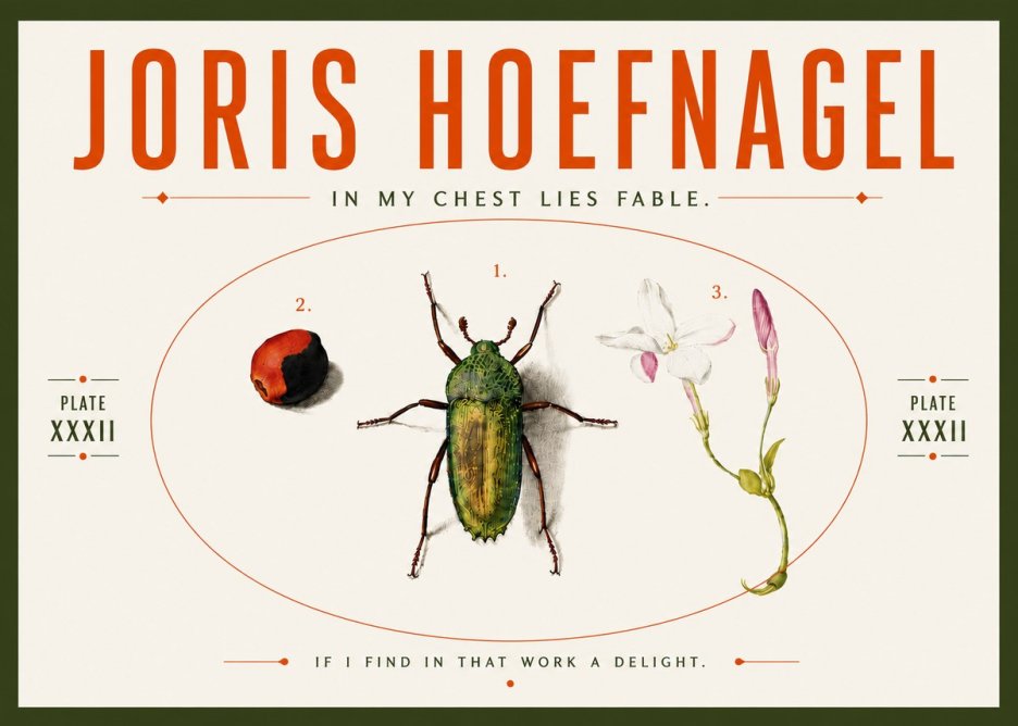 Joris Hoefnagel In My Chest Lies Fable No5 - Affiche