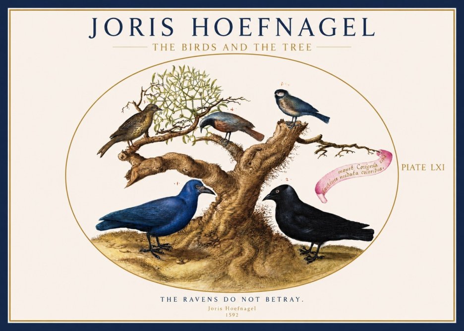 Joris Hoefnagel The Birds and the Tree No1 - Affiche