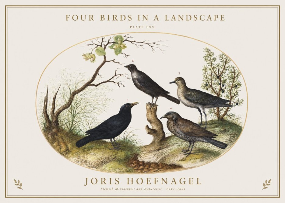 Joris Hoefnagel Four Birds in a Landscape No1 - Affiche