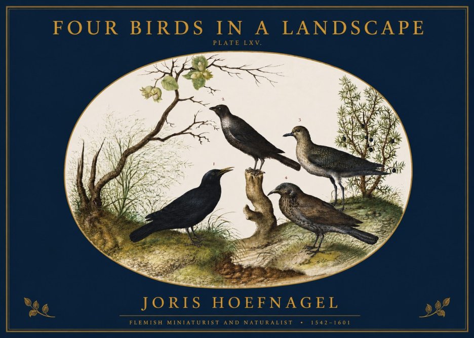 Joris Hoefnagel Four Birds in a Landscape No2 - Affiche