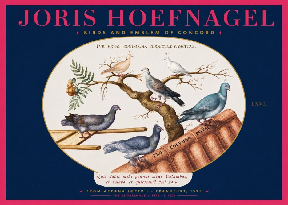 Joris Hoefnagel Birds and Emblem of Concord No2 - Affiche