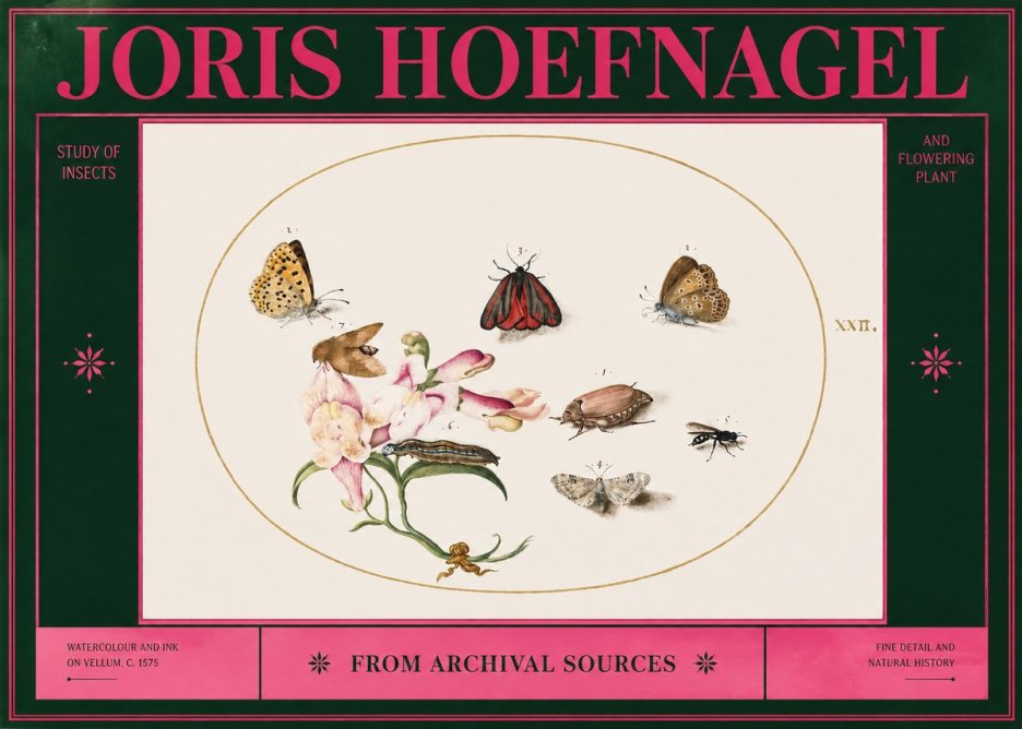 Joris Hoefnagel Study of Insects and Flowering Plant No2 - Affiche