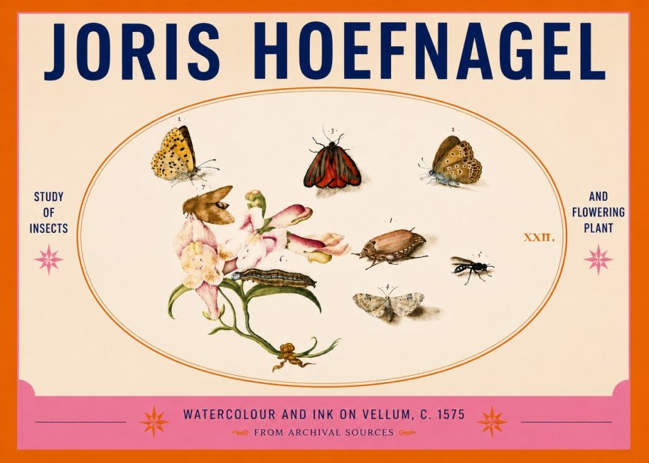 Joris Hoefnagel Study of Insects and Flowering Plant No5 - Affiche