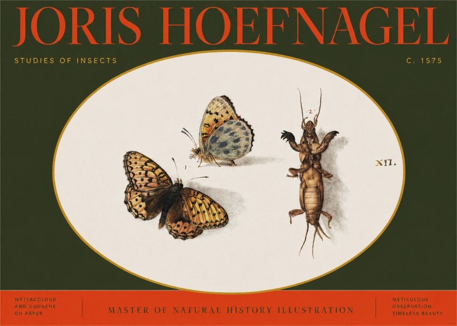 Joris Hoefnagel Studies of Insects Xii No2 - Affiche