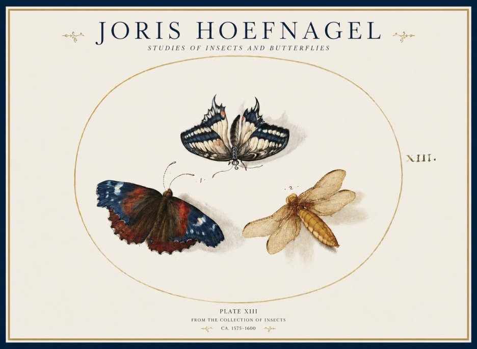 Joris Hoefnagel Studies of Insects - Plate Xiii No2 - Affiche