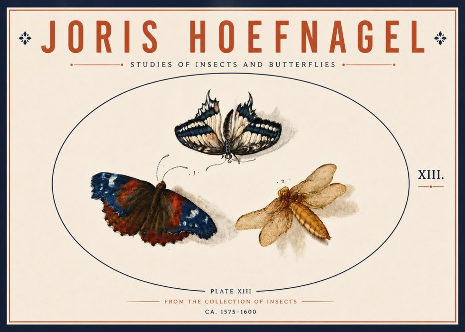 Joris Hoefnagel Studies of Insects - Plate Xiii No6 - Affiche