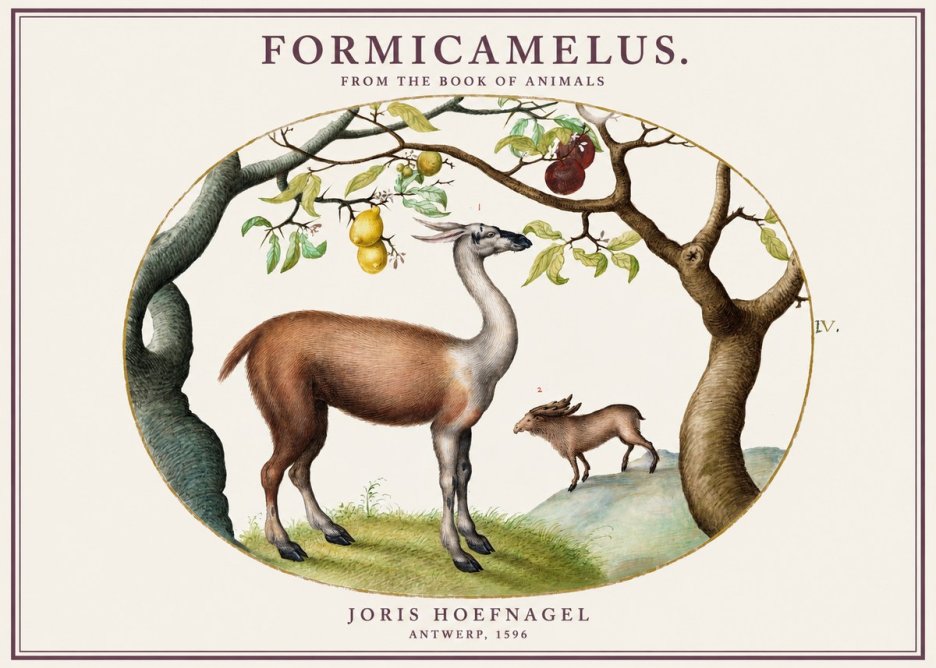 Joris Hoefnagel Formicamelus. No1 - Affiche