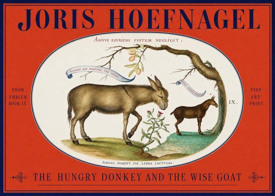 Joris Hoefnagel The Hungry Donkey and the Wise Goat No2 - Affiche