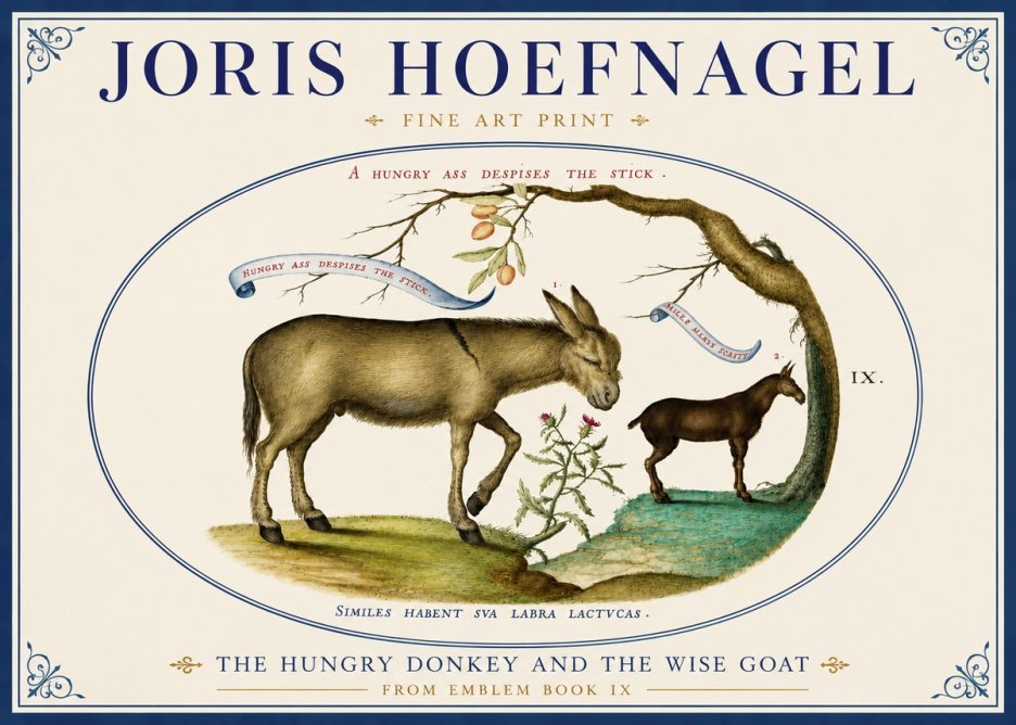 Joris Hoefnagel The Hungry Donkey and the Wise Goat No4 - Affiche