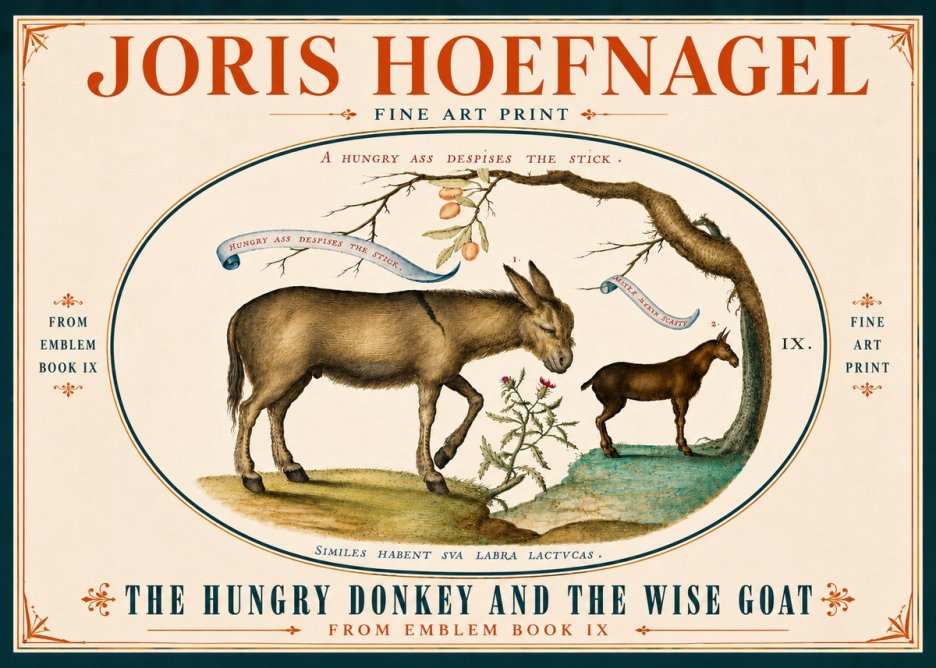 Joris Hoefnagel The Hungry Donkey and the Wise Goat No6 - Affiche