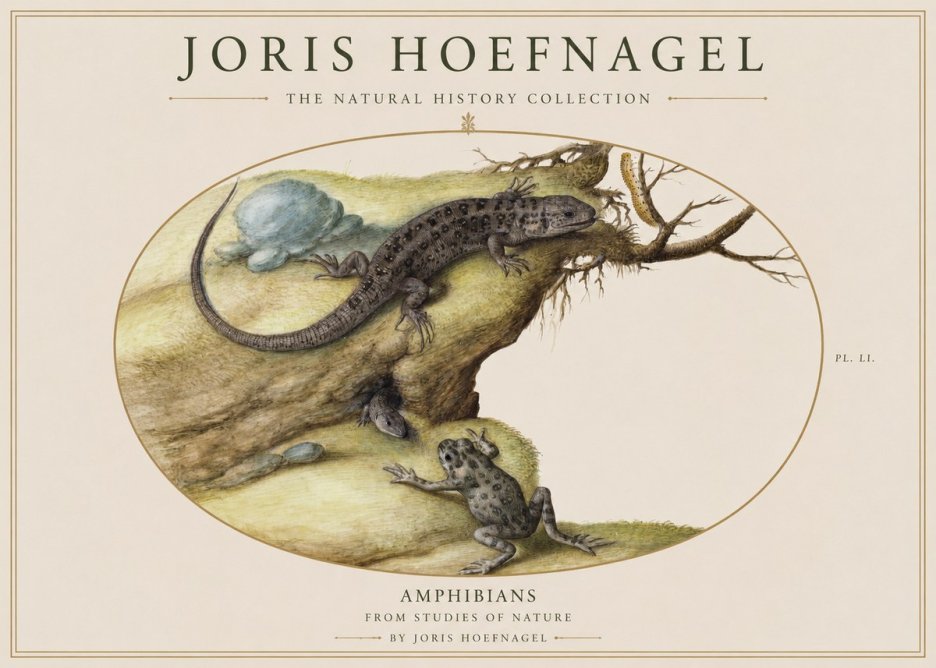 Joris Hoefnagel Amphibians from Studies of Nature No1 - Affiche