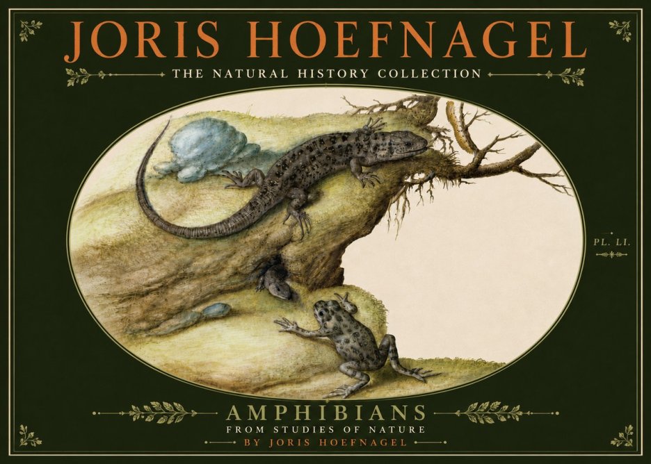 Joris Hoefnagel Amphibians from Studies of Nature No6 - Affiche
