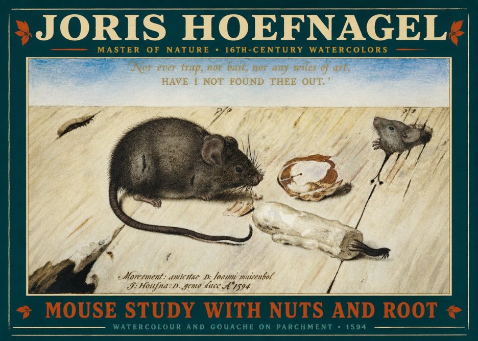 Joris Hoefnagel Mouse Study with Nuts and Root No2 - Affiche