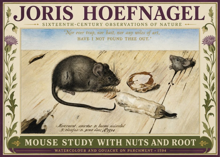 Joris Hoefnagel Mouse Study with Nuts and Root No3 - Affiche