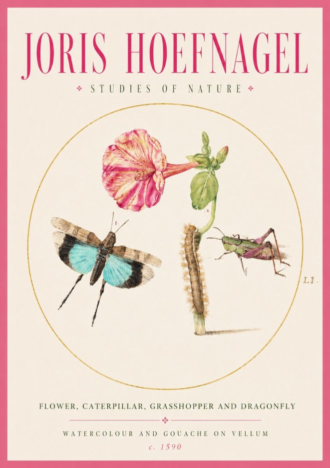Joris Hoefnagel Plate L1. Studies of Insects and Plants No3 - Affiche