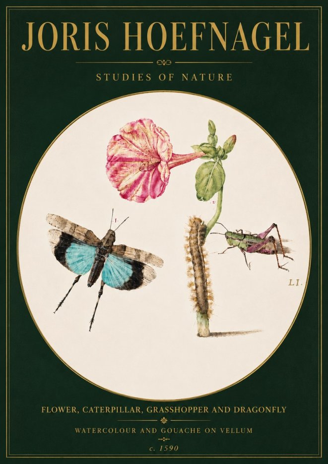 Joris Hoefnagel Plate L1. Studies of Insects and Plants No6 - Affiche