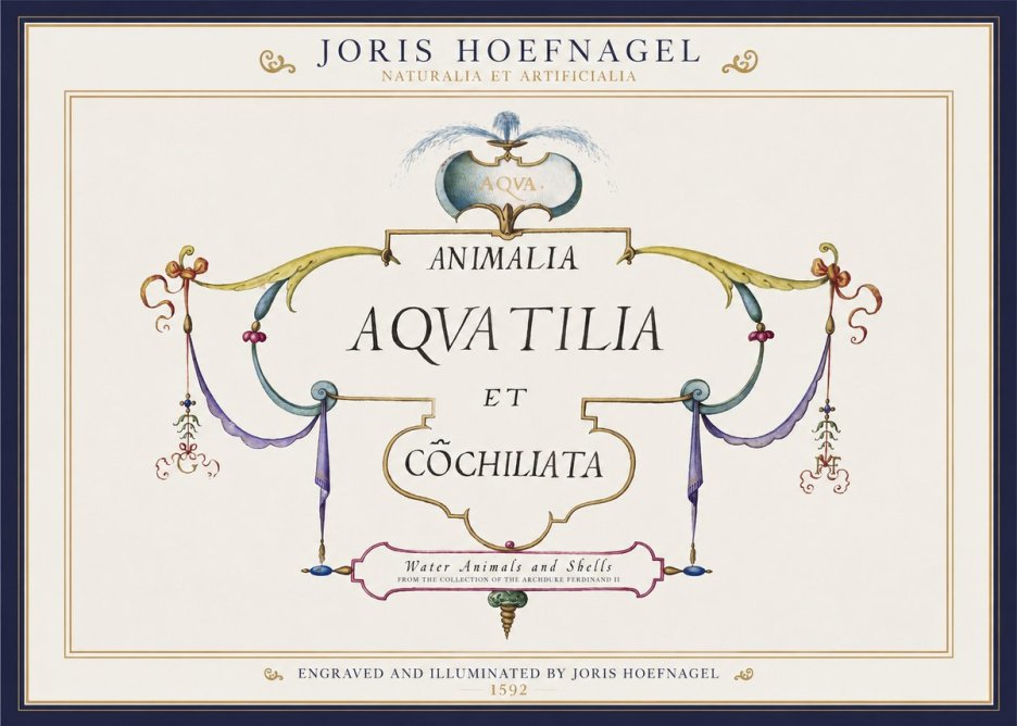 Joris Hoefnagel Animalia Aquatilia Et Cochiliata No1 - Affiche