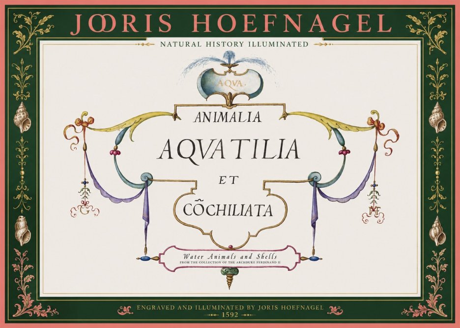 Joris Hoefnagel Animalia Aquatilia Et Cochiliata No2 - Affiche