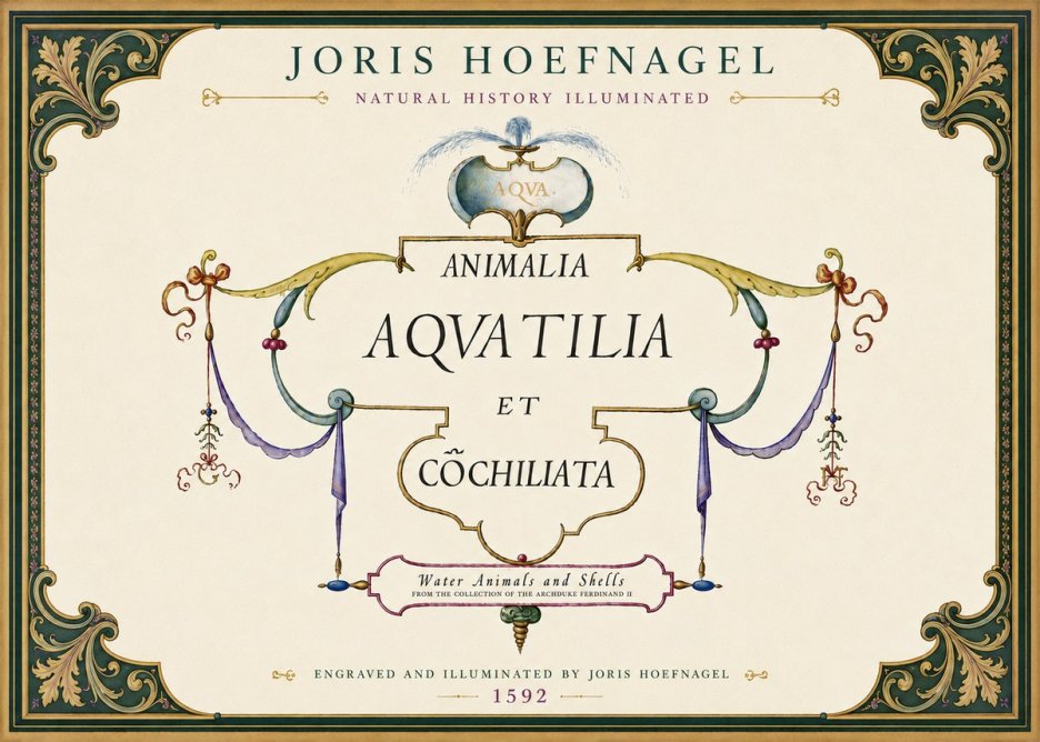 Joris Hoefnagel Animalia Aquatilia Et Cochiliata No6 - Affiche