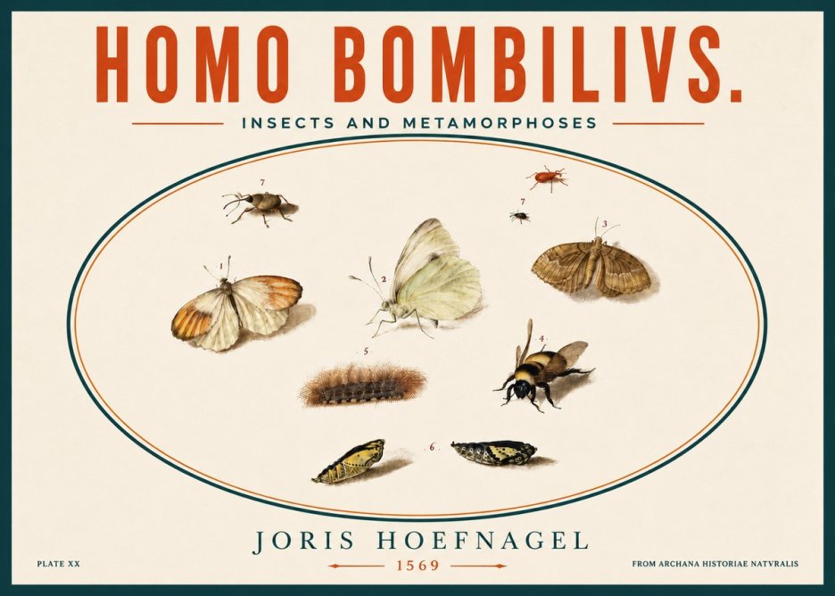 Joris Hoefnagel Homo Bombilivs. Insecta Et Metamorphoses No5 - Affiche