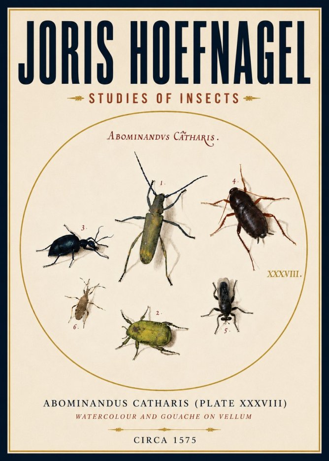 Joris Hoefnagel Abominandus Catharis (Plate Xxxviii) No4 - Affiche