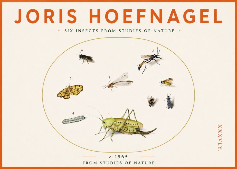 Joris Hoefnagel Six Insects from Studies of Nature C. 1565 No3 - Affiche
