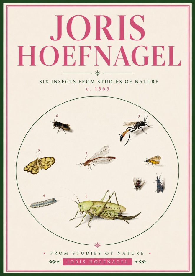 Joris Hoefnagel Six Insects from Studies of Nature C. 1565 No5 - Affiche