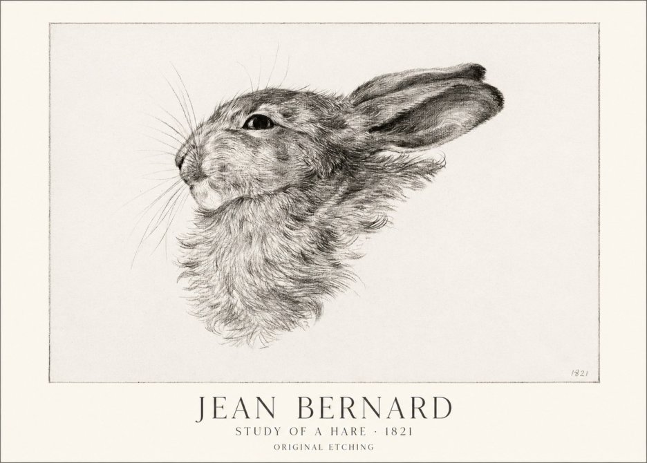Jean Bernard Study of a Hare No1 - Affiche