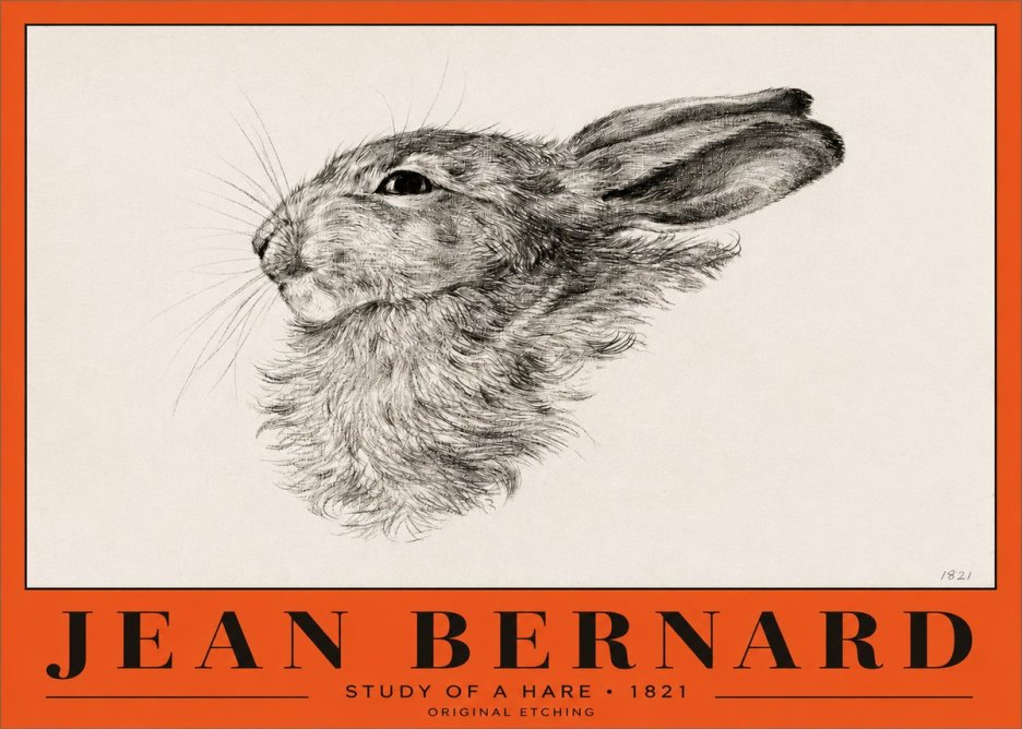 Jean Bernard Study of a Hare No2 - Affiche