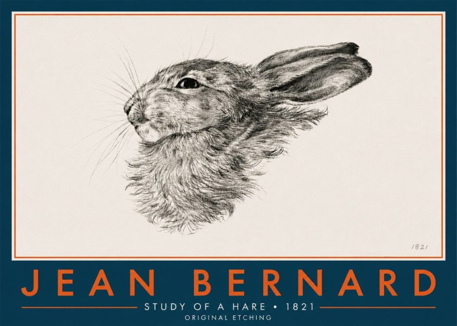 Jean Bernard Study of a Hare No6 - Affiche