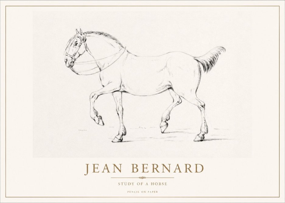 Jean Bernard Study of a Horse XVI No1 - Affiche