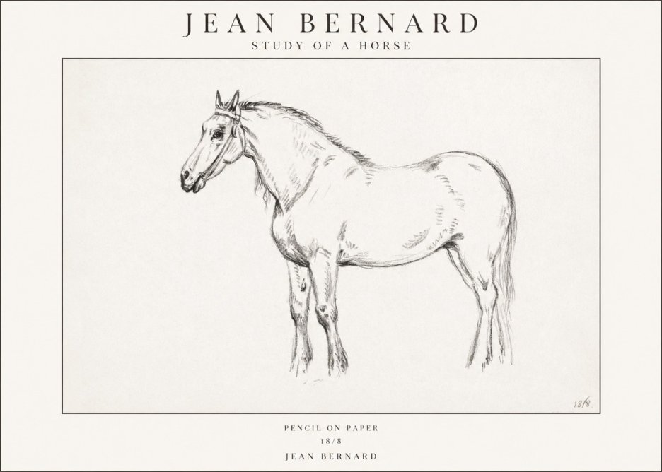 Jean Bernard Study of a Horse XVII No1 - Affiche