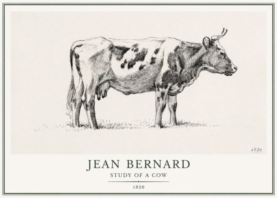 Jean Bernard Study of a Cow XX No1 - Affiche