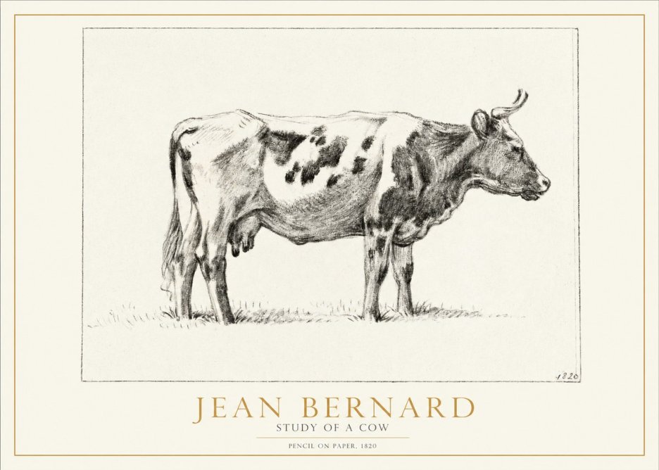 Jean Bernard Study of a Cow XX No2 - Affiche