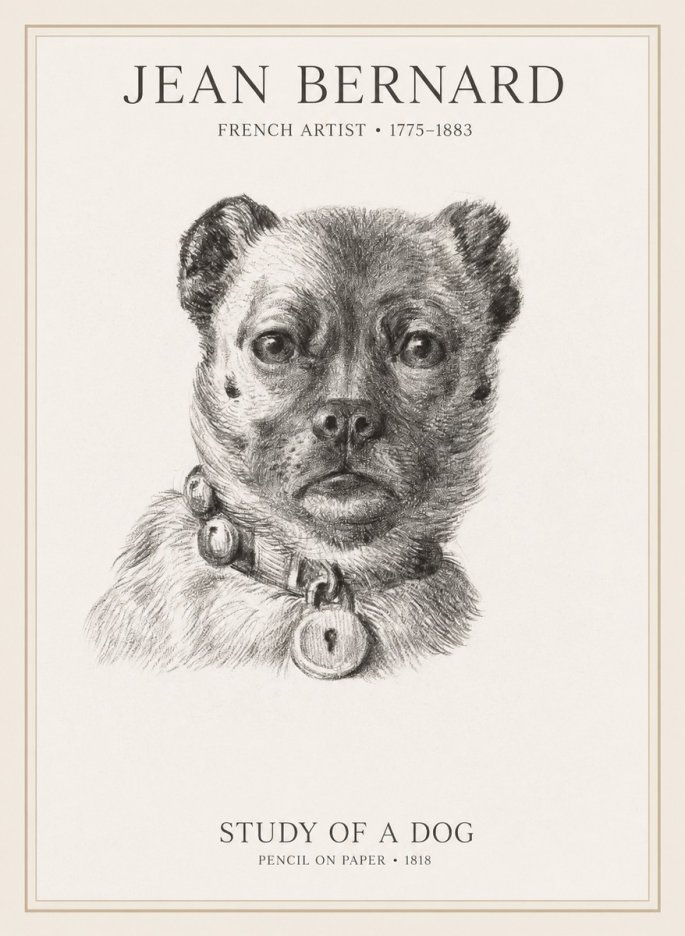 Jean Bernard Study of a Dog IV No1 - Affiche