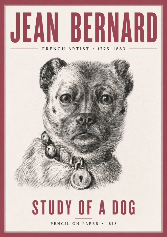 Jean Bernard Study of a Dog IV No5 - Affiche