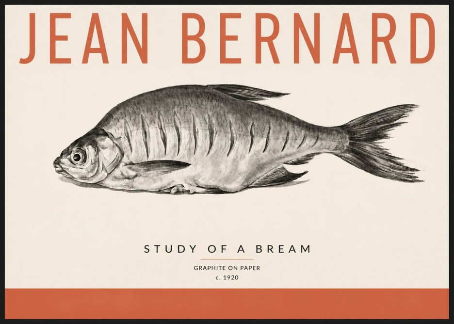 Jean Bernard Study of a Bream No4 - Affiche