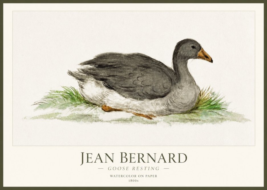 Jean Bernard Goose Resting No1 - Affiche