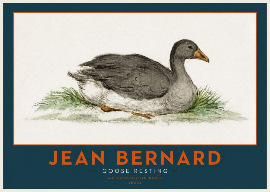 Jean Bernard Goose Resting No2 - Affiche