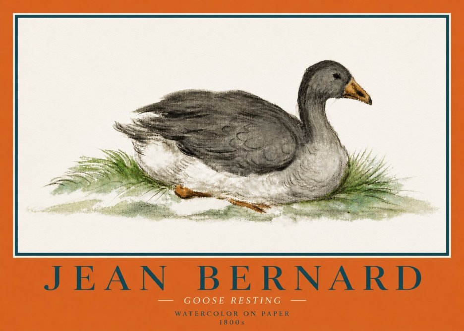 Jean Bernard Goose Resting No4 - Affiche