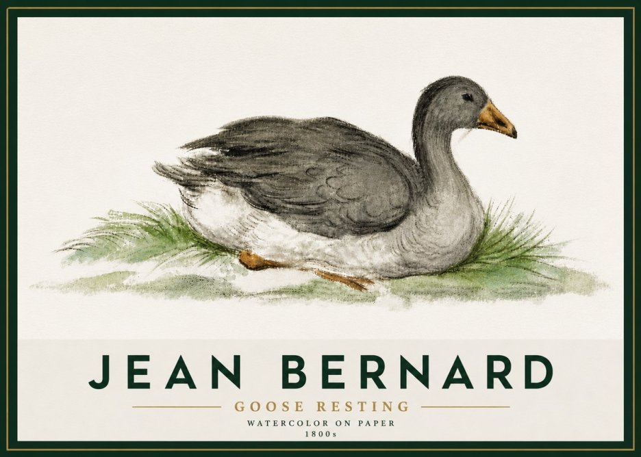 Jean Bernard Goose Resting No5 - Affiche
